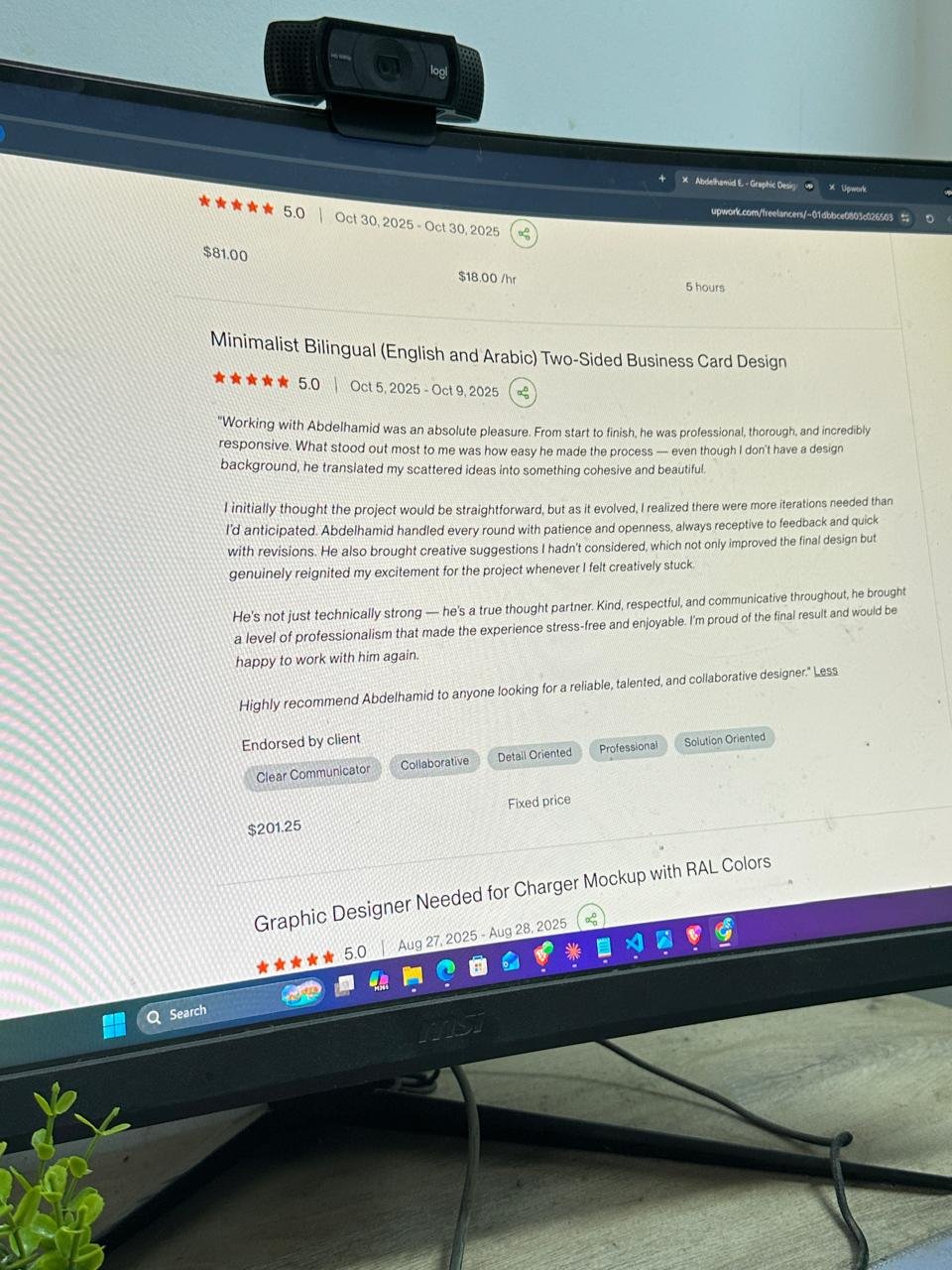Upwork review screenshot 3